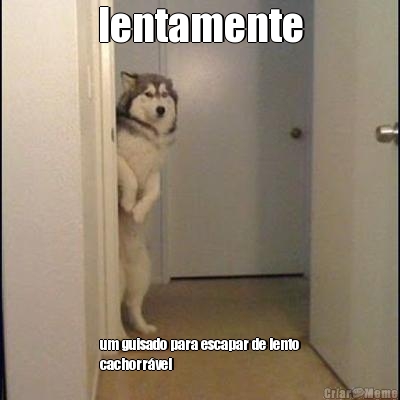 lentamente um guisado para escapar de lento
cachorr�vel