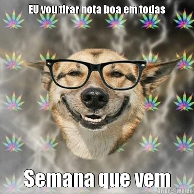 EU vou tirar nota boa em todas Semana que vem