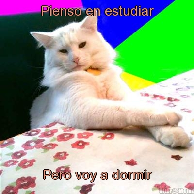 Pienso en estudiar Pero voy a dormir