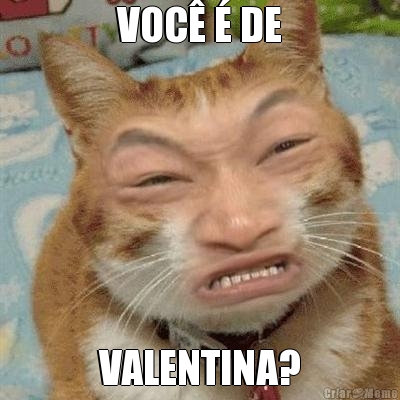 VOC� � DE VALENTINA?