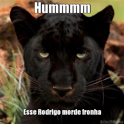 Hummmm Esse Rodrigo morde fronha