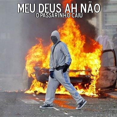 Meu deus ah n�o o Passarinho caiu