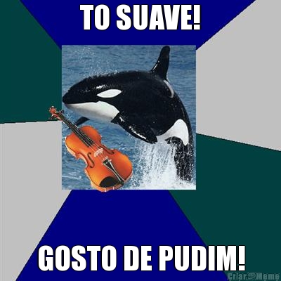 TO SUAVE! GOSTO DE PUDIM!