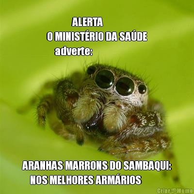    
             ALERTA       
O MINIST�RIO DA SA�DE
    adverte: ARANHAS MARRONS DO SAMBAQUI:
    NOS MELHORES ARM�RIOS