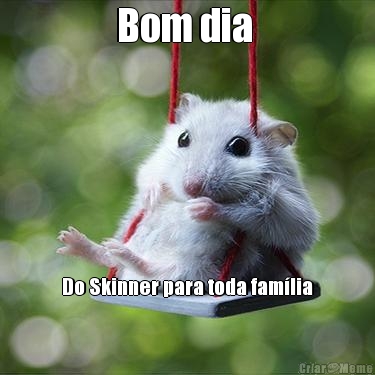Bom dia  Do Skinner para toda fam�lia