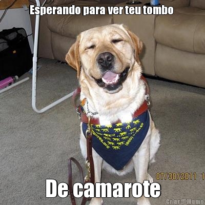 Esperando para ver teu tombo  De camarote