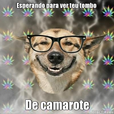 Esperando para ver teu tombo  De camarote
