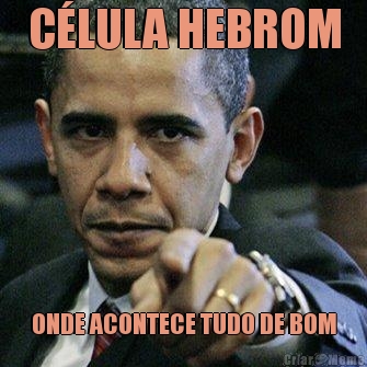 C�LULA HEBROM ONDE ACONTECE TUDO DE BOM