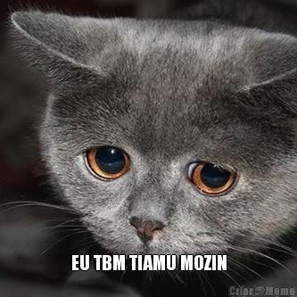  EU TBM TIAMU MOZIN
