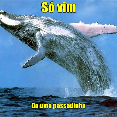 S� vim Da uma passadinha
