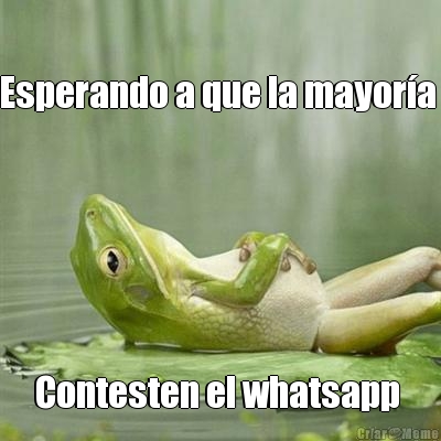 Esperando a que la mayor�a  Contesten el whatsapp 
