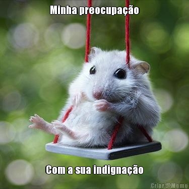 Minha preocupa��o Com a sua indigna��o