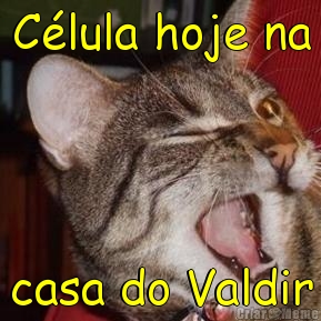 C�lula hoje na casa do Valdir