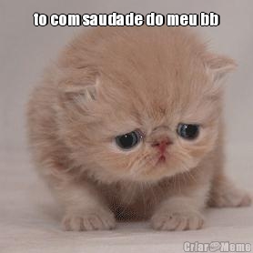 to com saudade do meu bb 
