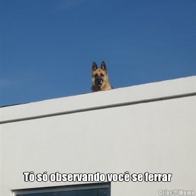  T� s� observando voc� se ferrar