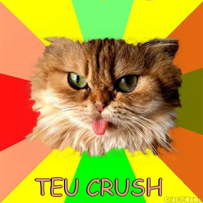 foda�SE  TEU CRUSH 