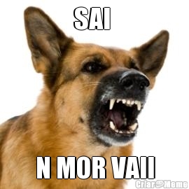 SAI  N MOR VAII