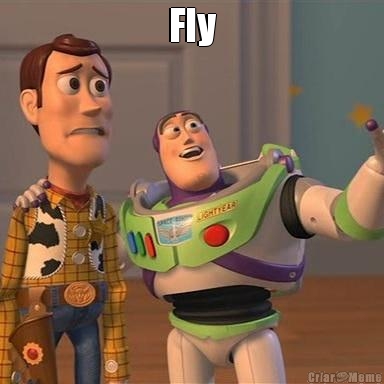 Fly 
