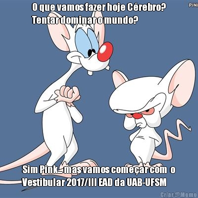 O que vamos fazer hoje Cérebro?
Tentar dominar o mundo? Sim Pink... mas vamos começar com  o
Vestibular 2017/III EAD da UAB-UFSM