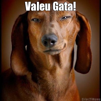 Valeu Gata! 