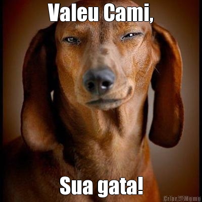 Valeu Cami, Sua gata!