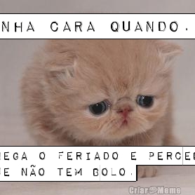 Minha cara quando... Chega o feriado e percebo
que n�o tem bolo.