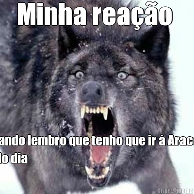 Minha rea��o  Quando lembro que tenho que ir � Aracaju
todo dia