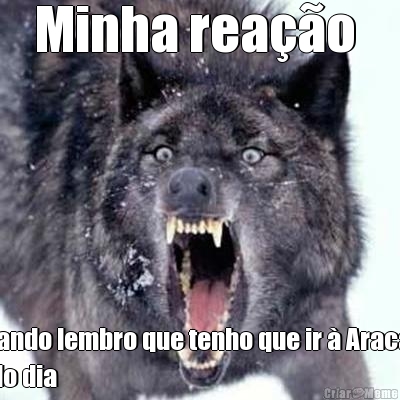 Minha rea��o  Quando lembro que tenho que ir � Aracaju
todo dia