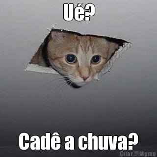 U�? Cad� a chuva?