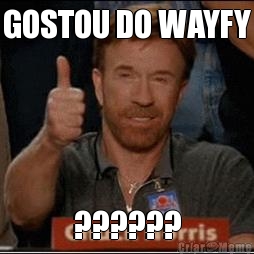 GOSTOU DO WAYFY ??????