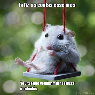 J� fiz  as contas esse m�s  Vou ter que vender minhas duas
cunhadas.