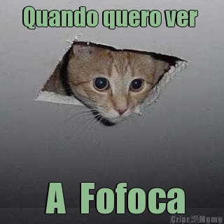 Quando quero ver   A  Fofoca