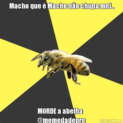 Macho que � Macho n�o chupa mel... MORDE a abelha
@memedadepre