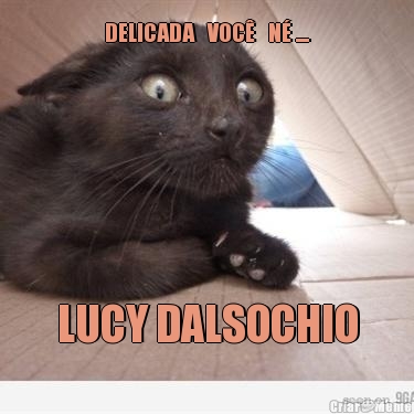 DELICADA   VOC�   N� ....



 LUCY DALSOCHIO

