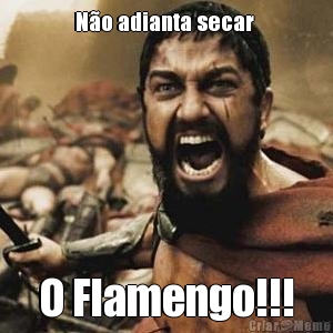 N�o adianta secar  O Flamengo!!!