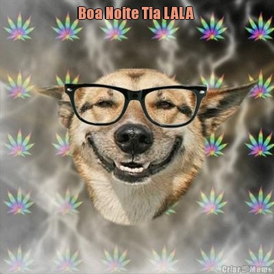 Boa Noite Tia LALA  