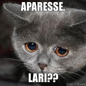 APARESSE. LARI??