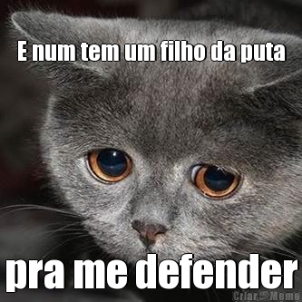 E num tem um filho da puta pra me defender