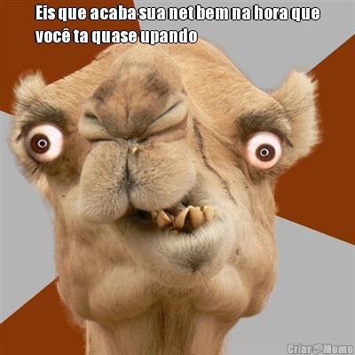 Eis que acaba sua net bem na hora que
voc� ta quase upando 