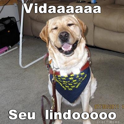 Vidaaaaaa Seu  lindooooo
