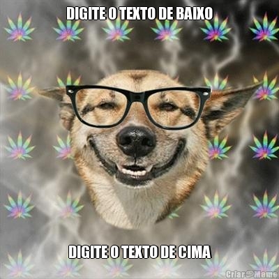 DIGITE O TEXTO DE BAIXO DIGITE O TEXTO DE CIMA