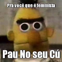 Pra voc� que � feminista Pau No seu C�