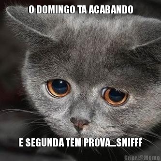O DOMINGO TA ACABANDO E SEGUNDA TEM PROVA....SNIFFF