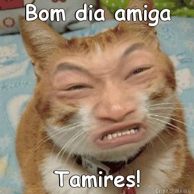 Bom dia amiga Tamires!