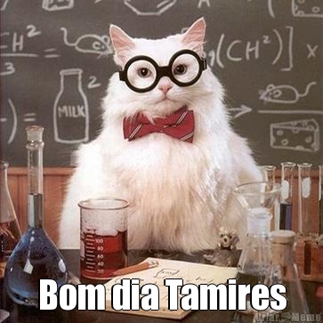  Bom dia Tamires