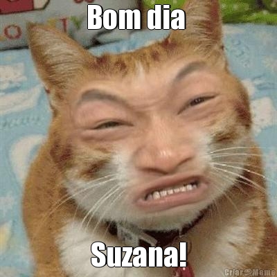 Bom dia  Suzana!