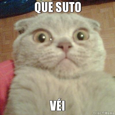 QUE SUTO V�I