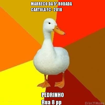 MARRECO DA 5� RODADA   
CARTOLA FC - 2018 PEDRINHO
Rua 8 pp