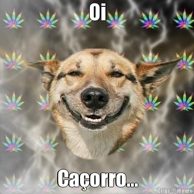 Oi Ca�orro...
