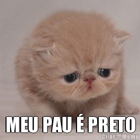  MEU PAU � PRETO